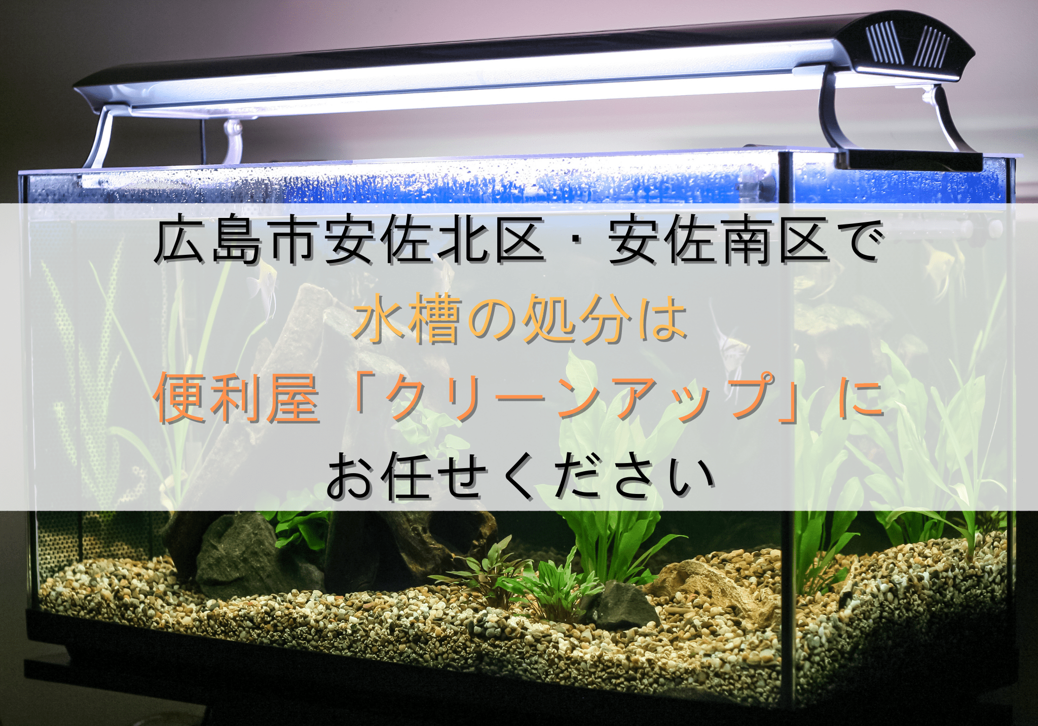 広島市安佐北区・安佐南区で水槽の処分は便利屋「クリーンアップ深川店 